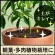アース製薬　ＢｏｔａＮｉｃｅ　土のカビ予防スプレー　３５０ｍＬ　１本4