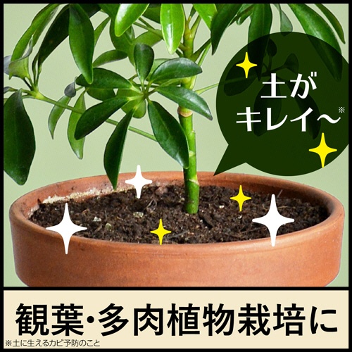アース製薬　ＢｏｔａＮｉｃｅ　土のカビ予防スプレー　３５０ｍＬ　１本4