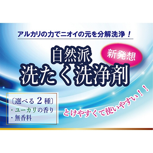 地の塩社　アルカリウォッシュＬ　ランドリーパウダー　香料タイプ（ユーカリの香り）　６００ｇ　１個4
