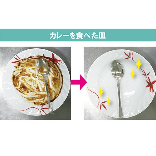 地の塩社　クリーン　食器洗い乾燥機専用洗浄剤　５００ｇ　１個5