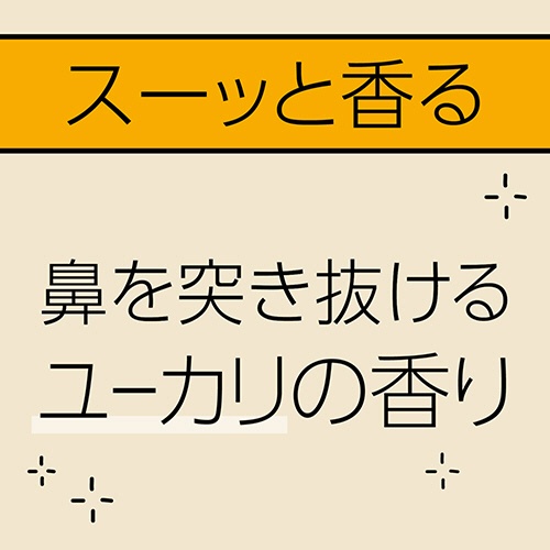 アース製薬　マモルーム　Ｆｅａｔ．アレルブロック　ハウスダスト・花粉用　２ヵ月用セット　１個5