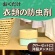 アース製薬　クローゼットにおくだけ防虫力　ハーブミントの香り　３００ｍＬ　１個2