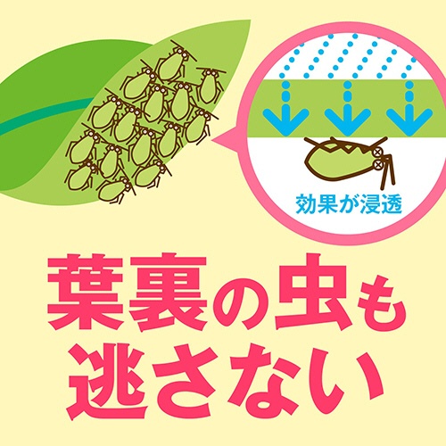 アース製薬　虫・病気対策スプレー　アースガーデン　花いとし　エコパック　８５０ｍＬ　１個5