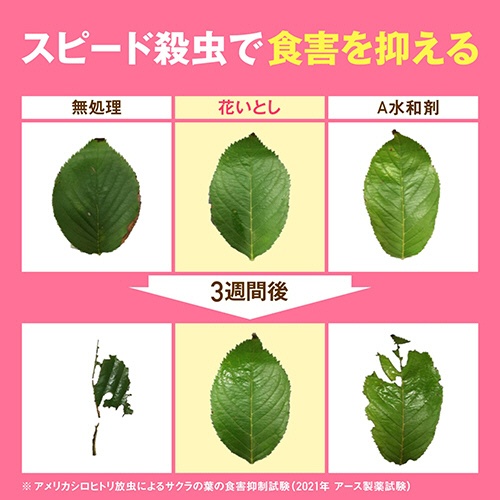 アース製薬　虫・病気対策スプレー　アースガーデン　花いとし　エコパック　８５０ｍＬ　１個9