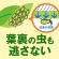 アース製薬　虫・病気対策スプレー　アースガーデン　野菜うまし　エコパック　８５０ｍＬ　１個5