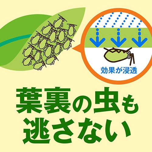 アース製薬　虫・病気対策スプレー　アースガーデン　野菜うまし　エコパック　８５０ｍＬ　１個5