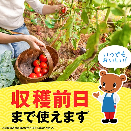 アース製薬　アースガーデン　いろいろな植物つよし　粒タイプ　６５０ｇ　１個6