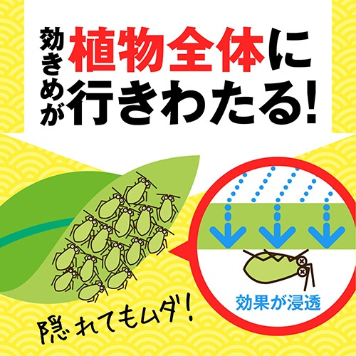 アース製薬　アースガーデン　いろいろな植物つよし　１０００ｍＬ　１本6