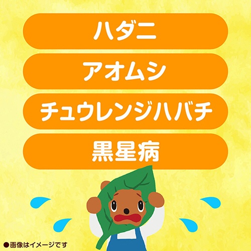 アース製薬　アースガーデン　ロハピ　本体　１０００ｍＬ　１本4
