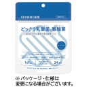 井藤漢方製薬　どっさり乳酸菌と酪酸菌　２４日分　２ｇ／袋
