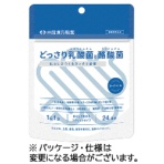 井藤漢方製薬　どっさり乳酸菌と酪酸菌　２４日分　２ｇ／袋
