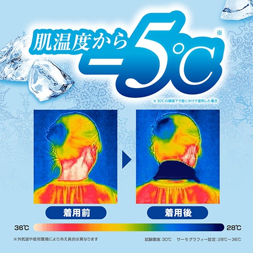 白元アース　アイスノン　冷んやりタオル　１パック（５包）5