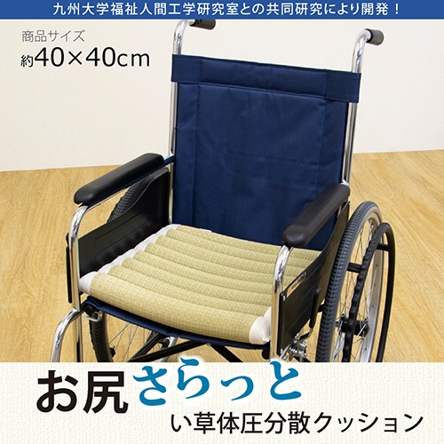 イケヒコ・コーポレーション　お尻さらっと　い草クッション　１枚2