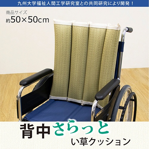 イケヒコ・コーポレーション　背中さらっと　い草クッション　１枚2