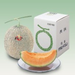 鹿内青果　夕張メロン良品（特大玉）　１個