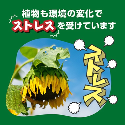 ＫＩＮＣＨＯ園芸　Ｘ－ＥＮＥＲＧＹ　６００ｍＬ　１本3