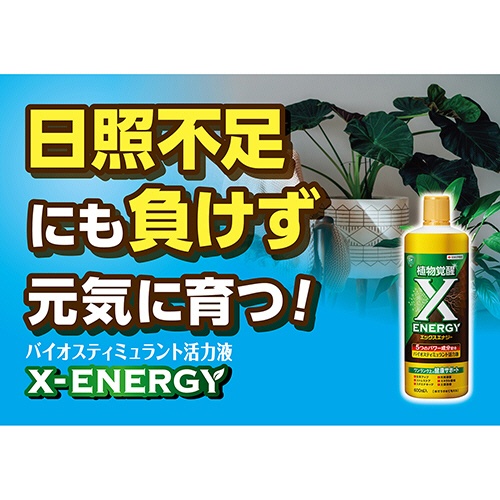ＫＩＮＣＨＯ園芸　Ｘ－ＥＮＥＲＧＹ　６００ｍＬ　１本4