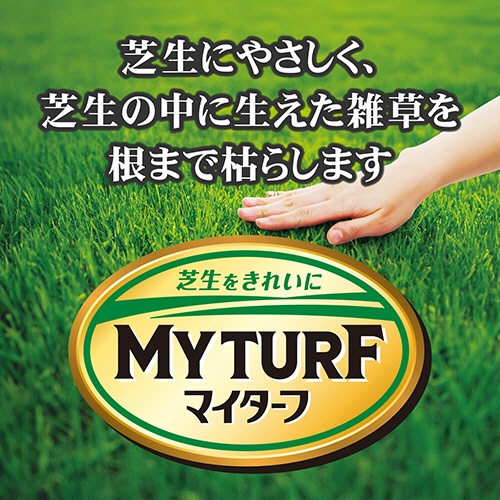ＫＩＮＣＨＯ園芸　マイターフ　シバニードロング粒剤　１．４ｋｇ　１箱2