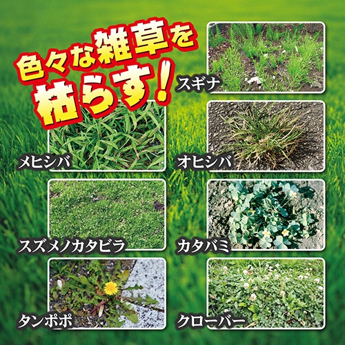 ＫＩＮＣＨＯ園芸　マイターフ　シバニードロング粒剤　１．４ｋｇ　１箱3