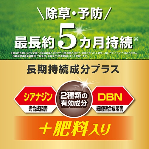 ＫＩＮＣＨＯ園芸　マイターフ　シバニードグリーン粒剤　１．４ｋｇ　１箱4