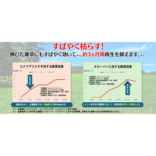 ＫＩＮＣＨＯ園芸　マイターフ　シバニードシャワーＤＸ　２Ｌ　１本3