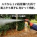 ＫＩＮＣＨＯ園芸　スズメバチエアゾール　４８０ｍＬ　１本5