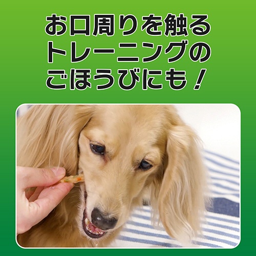 ライオン　ＰＥＴＫＩＳＳ　ワンちゃんの歯みがきおやつ　ササミスティック　プレーン　６０ｇ　１パック6