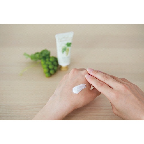 グローバルプロダクトプランニング　シャルドネ　ハンドクリーム　３０ｍＬ　１本3