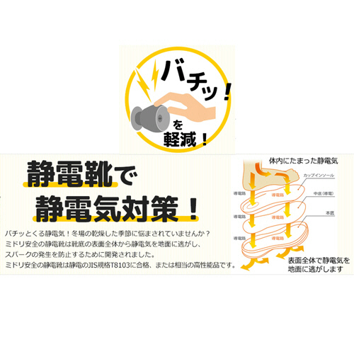 楽天市場】（メール便○）TSUMEKIRA（ツメキラ）：ネイルシール