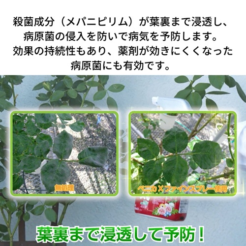 ＫＩＮＣＨＯ園芸　ベニカＸ　ファインスプレー　１０００ｍｌ　１本3