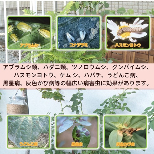 ＫＩＮＣＨＯ園芸　ベニカＸ　ファインスプレー　１０００ｍｌ　１本4