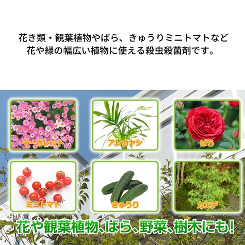 ＫＩＮＣＨＯ園芸　ベニカＸ　ファインスプレー　１０００ｍｌ　１本5