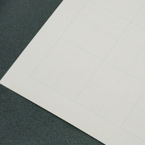 欧文印刷　消せる紙（ホワイトボードマーカー用）　Ａ１判　方眼　５９４×８４１ｍｍ　Ｍ５ＣＧＳＡ１Ｗ５０　１パック（５０枚）2