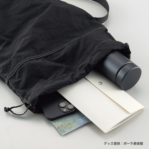 リヒトラブ　Ｃｏｌｌｅｌ　リーフレットホルダー　ブラック　Ｆ－４８１－２４　１冊3