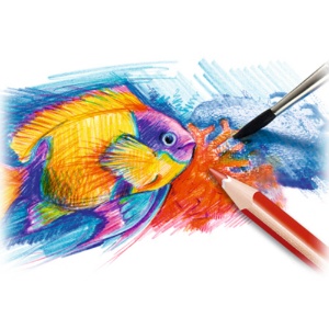 ステッドラー　ノリス　水彩色鉛筆　１２色（各色１本）　１４４１０ＮＣ１２Ｐ　１パック3