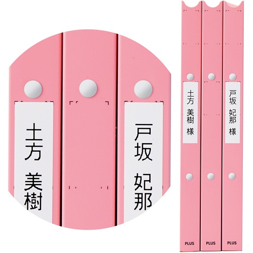 プラス　たすけあ　利用者カルテ　リングファイル　Ａ４タテ　背幅２４．５ｍｍ　ピンク　ＦＬ－８０４ＲＦ－ＰＫ　１冊6