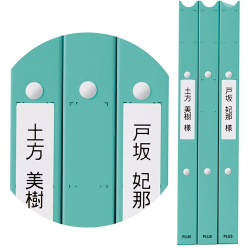 プラス　たすけあ　利用者カルテ　リングファイル　厚幅　Ａ４タテ　背幅３３ｍｍ　ブルー　ＦＬ－８０８ＲＦ－ＢＬ　１冊6