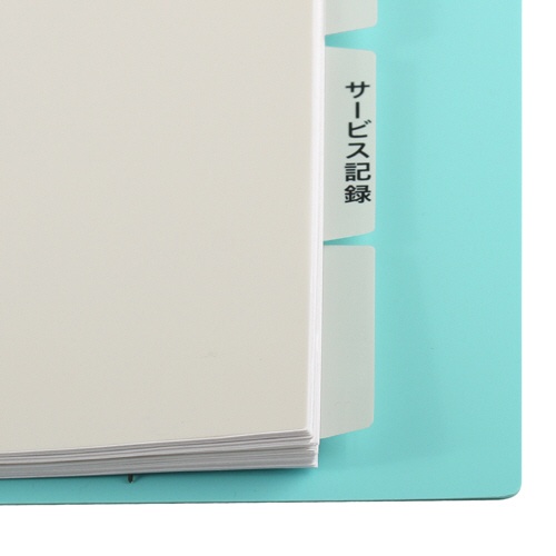プラス　たすけあ　利用者カルテ用インデックス　Ａ４タテ　５山２組　グレー　ＦＬ－８０７ＩＳ　１パック5