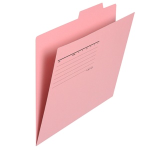 プラス　個別フォルダー　エコノミータイプ　Ａ４　ピンク　ＦＬ－０８１ＩＦ　１パック（１０冊）1