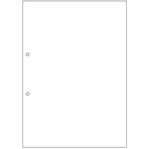 ヒサゴ　マルチプリンタ帳票（エコノミープライス）　Ａ４　白紙　２穴　ＢＰＥ２００１　１箱（２５００枚）1