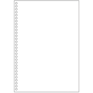 ヒサゴ　マルチプリンタ帳票（エコノミープライス）　Ａ４　白紙　３０穴　ＢＰＥ２０４９　１箱（２５００枚）1