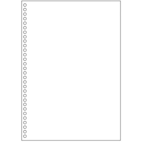 ヒサゴ　マルチプリンタ帳票（エコノミープライス）　Ａ４　白紙　３０穴　ＢＰＥ２０４９　１箱（２５００枚）