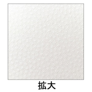 ヒサゴ　名刺・カード　Ａ４　１０面／小染　はな　白　ＢＭ４０１Ｓ　１冊（５シート）2
