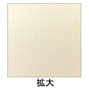 ヒサゴ　名刺・カード　Ａ４　１０面／小染　はな　絹　ＢＭ４０２Ｓ　１冊（５シート）2