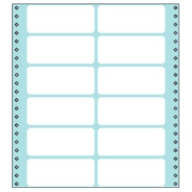 コクヨ　連続伝票用紙（タックフォーム）　横１０×縦１１インチ（２５４．０×２７９．４ｍｍ）　１２片　ＥＣＬ－３２６　１パック（１００シート）
