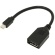 ＡＩＮＥＸ　Ｍｉｎｉ　ＤｉｓｐｌａｙＰｏｒｔ－ＤｉｓｐｌａｙＰｏｒｔ変換ケーブル　２０ｃｍ　ブラック　ＡＭＣ－ＭＤＰＤＰ　１本1