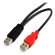 ＳｔａｒＴｅｃｈ．ｃｏｍ　ＵＳＢ　Ｙ字給電ケーブル　１．８ｍ　ＵＳＢ　Ａ－ｍｉｎｉ　Ｂ（Ｙ型分岐パワーケーブル）　ブラック　ＵＳＢ２ＨＡＢＭＹ６　１本3