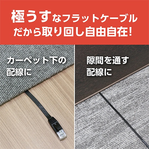 ナカバヤシ　ミヨシ　ＣＡＴ．６Ａ　ＬＡＮケーブル　フラット　ブラック　３０ｍ　Ｃ６Ａ－Ｆ３０ＢＫ　１本9