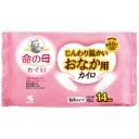小林製薬　命の母カイロ　じんわり温かいおなか用　貼るタイプ　１パック（１０個）
