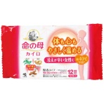 小林製薬　命の母カイロ　貼るタイプ　１パック（１０個）